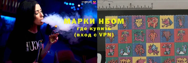 стаф Арсеньев