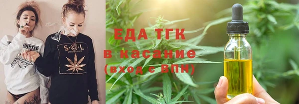 стаф Арсеньев
