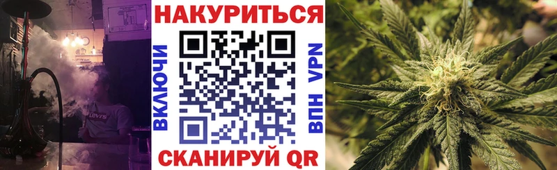 Конопля план  Багратионовск 